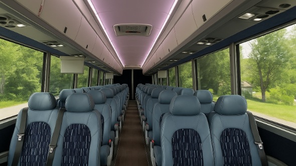 buffalo grove 15 passenger minibus rental