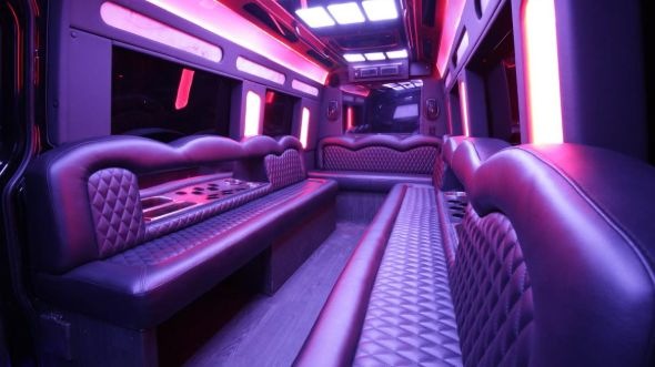buffalo grove sprinter limo rental rental